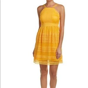 Tahari Honey Dress on my Mind